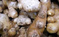 Ginger root