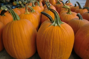 Pumpkins